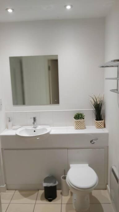 Piquancy Apartments - Sheffield City Centre מראה חיצוני תמונה
